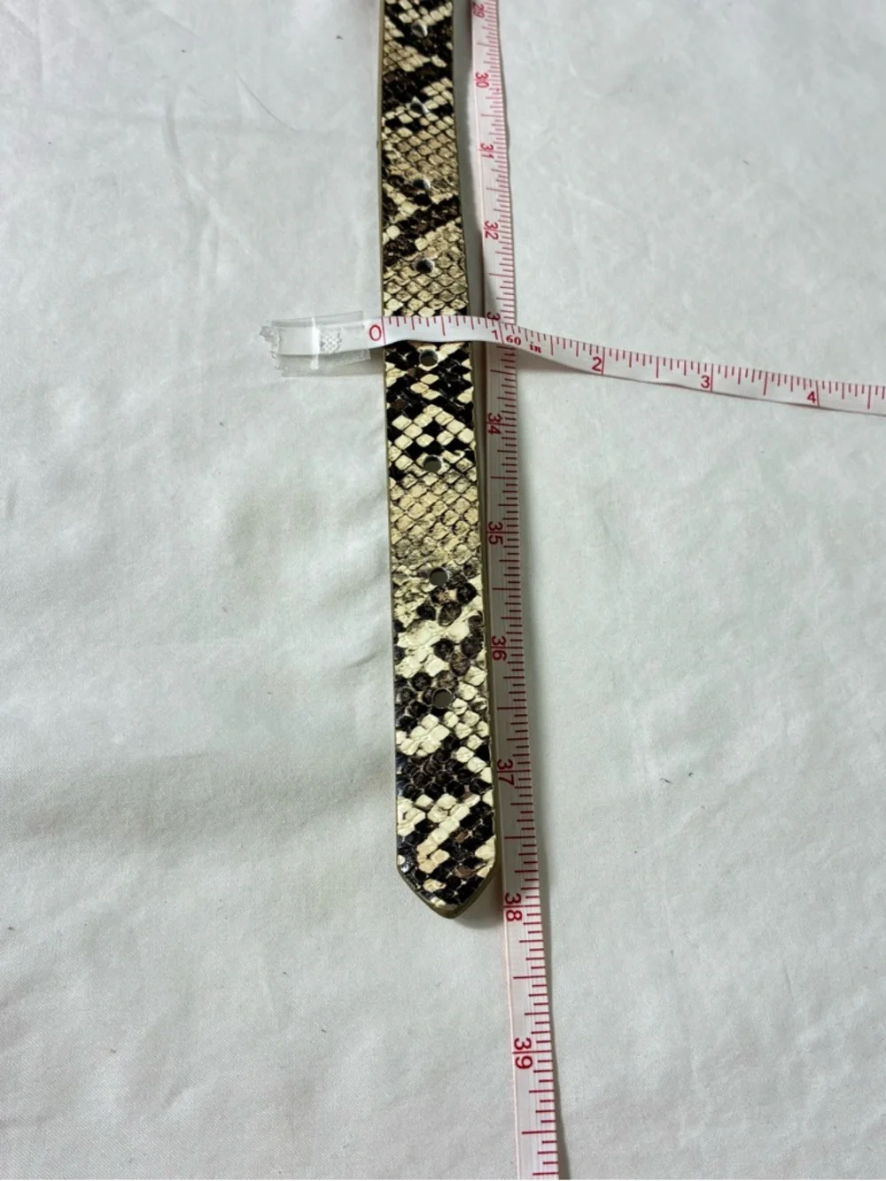 Snake Print faux Leather Belt with Silver Buckle New without tags glam animal